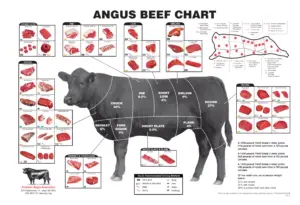 Angus Beef Chart